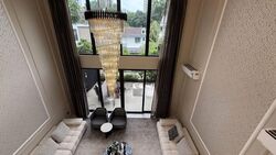 Shrewsbury Road (D11), Terrace #553783501